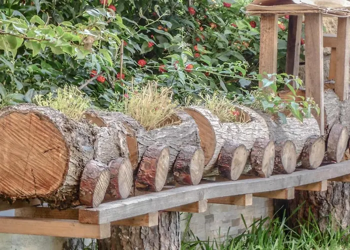 George Giov Apartament *